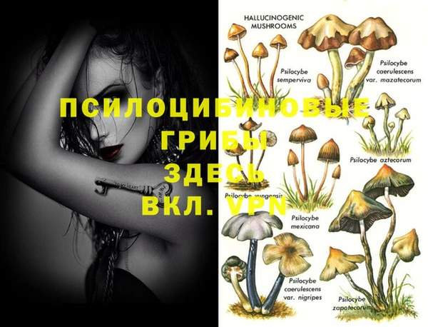 MESCALINE Лабытнанги