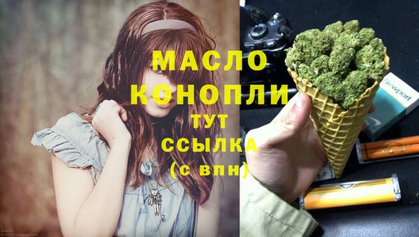 соль ск Кукмор