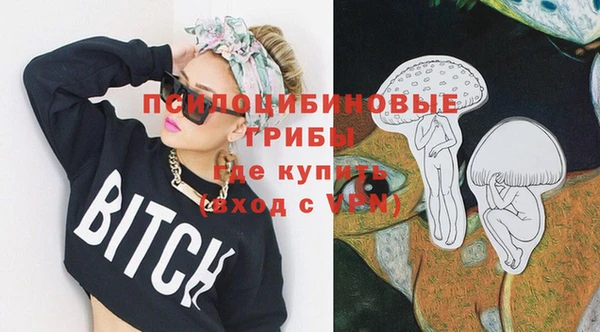 твердый Ладушкин