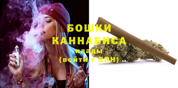 индика Куйбышев