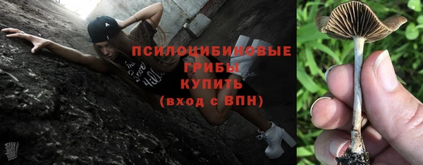 соль ск Кукмор