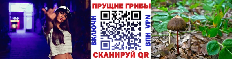 KRAKEN как войти  Новосиль  Галлюциногенные грибы ЛСД 